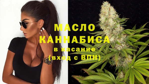 индика Абинск