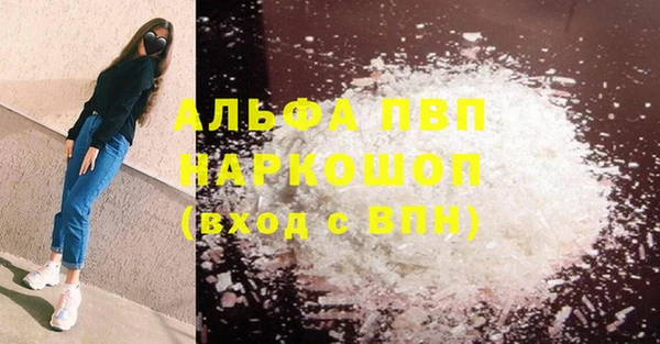спиды Нефтекумск