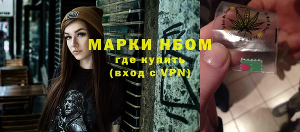 индика Абинск