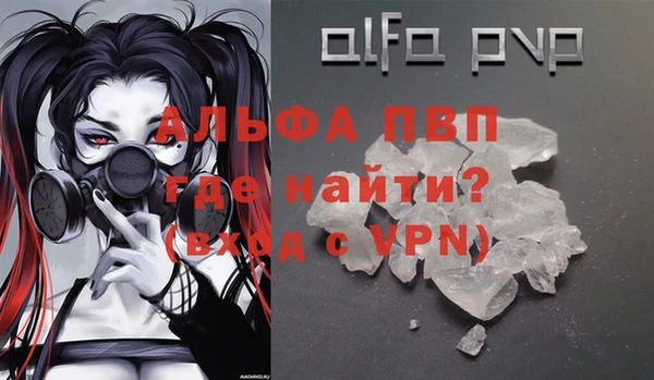 индика Абинск