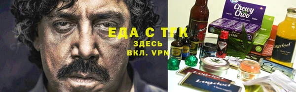 индика Абинск