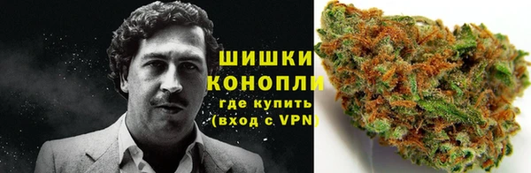 индика Абинск