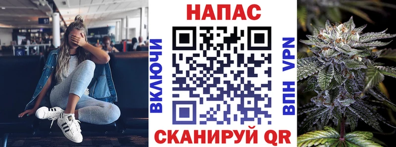 Конопля индика Струнино